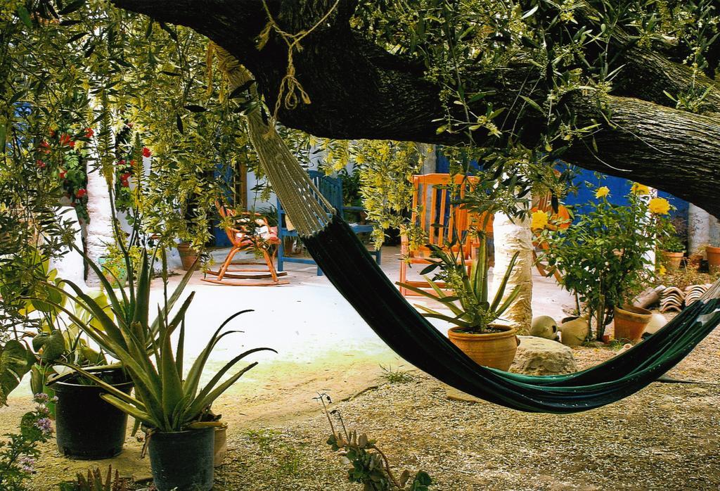 Casa Rural Aloe Vera Huércal-Overa Exteriör bild